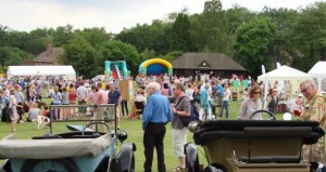 Village Fete and Dance June 21 2014 (5)