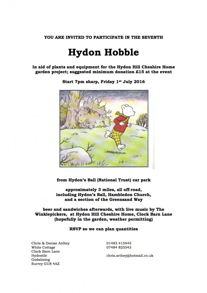 160701 hydon hobble flyer