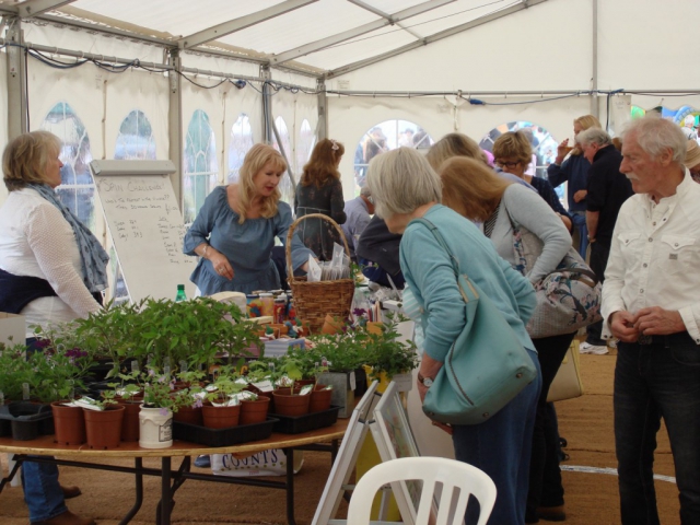 Plants in the Tent